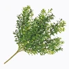 BOXWOOD & SEEDS BUSH 18IN 7 STEMS MIXED GREEN