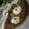 27IN CREAM POPPY SPRAY