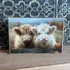 HMK1332B FALL HIGHLAND TWINS 4X6 BLOCK