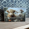 HMK1335B SUMMER HIGHLAND TWINS 4X6 BLOCK