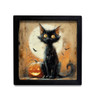 HMK1355 VAMPIRE CAT BOX FRAME