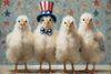 HMK1580B FOUR PATRIOTIC CHICKS 4X6 BLOCK