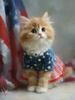 HMK1634B PATRIOTIC KITTEN 4X6 BLOCK