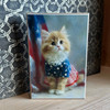 HMK1634B PATRIOTIC KITTEN 4X6 BLOCK