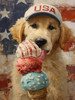 ACR303 All American Pup