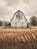 JO329 American Flag Barn