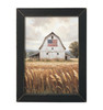 JO329 American Flag Barn