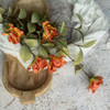 34" ORANGE WILD ROSE SPRAY