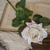 25.5" SOFT TOUCH CREAM ROSE STEM