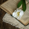 22.5" SOFT TOUCH WHITE PARROT TULIP STEM