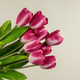 18.5" DARK PINK TULIP BUSH