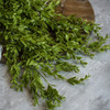 36" RUSCUS LEAF HANGING BUSH