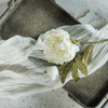 22.75" WHITE ROSE SPRAY