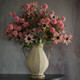 11.5" PINK MINI STAR BUNDLE