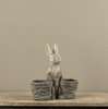 BUNNY W/ PAIR OF BASKETS