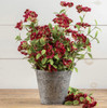 9" GALVANIZED DOUBLE HANDLE DECORATIVE PAIL