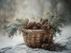 HMK1762 BASKET OF PINES BOX FRAME