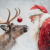 HMK1784L SANTA'S FESTIVE REINDEER