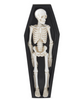 15.5in TABLETOP SKELETON IN COFFIN