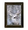 SDS520 Big Buck