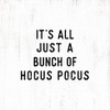 Hocus Pocus Picture