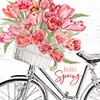 CIN3546 Hello Spring Bike Picture