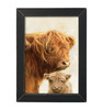 MOL2234 Highland Mom and Baby