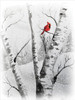 AB178 Gray Snowy Day Cardinal Picture