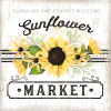 JP7582 Sunflower Market Picture