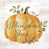 YND260 Pumpkin Time Picture