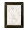 LET573 Flower Exposure CLEARANCE