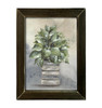 NOR240 Grecian Greens