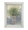 NOR239 Cascading Spider Plant
