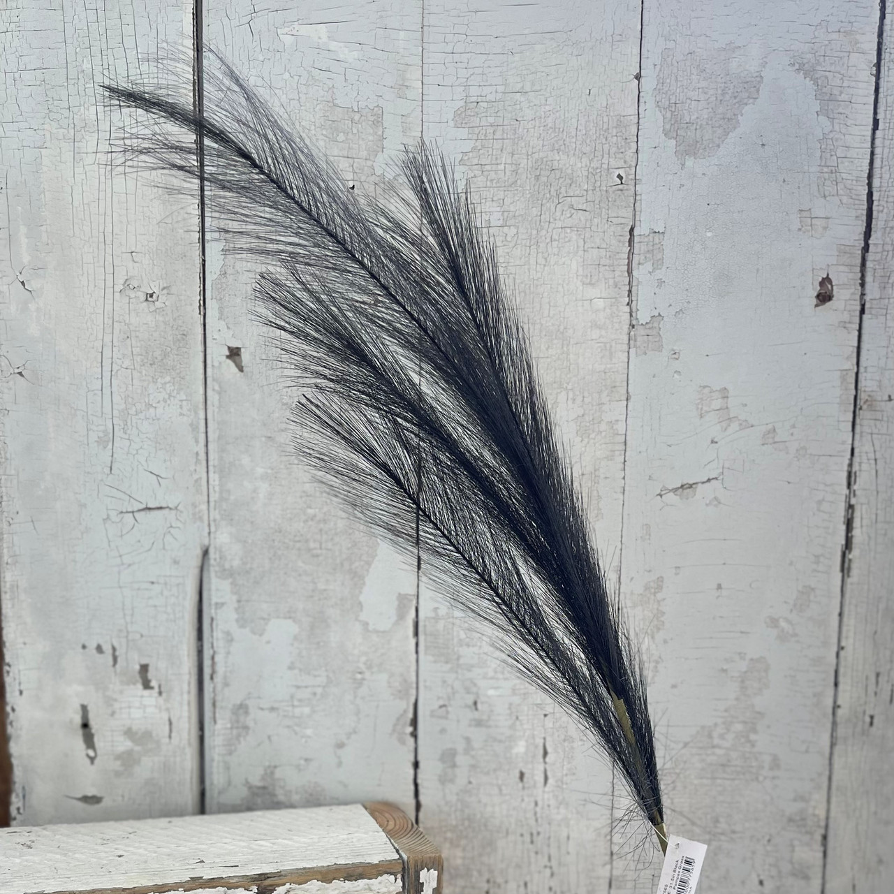 31.5in Black Pampas Grass - JanMichaels Art and Home