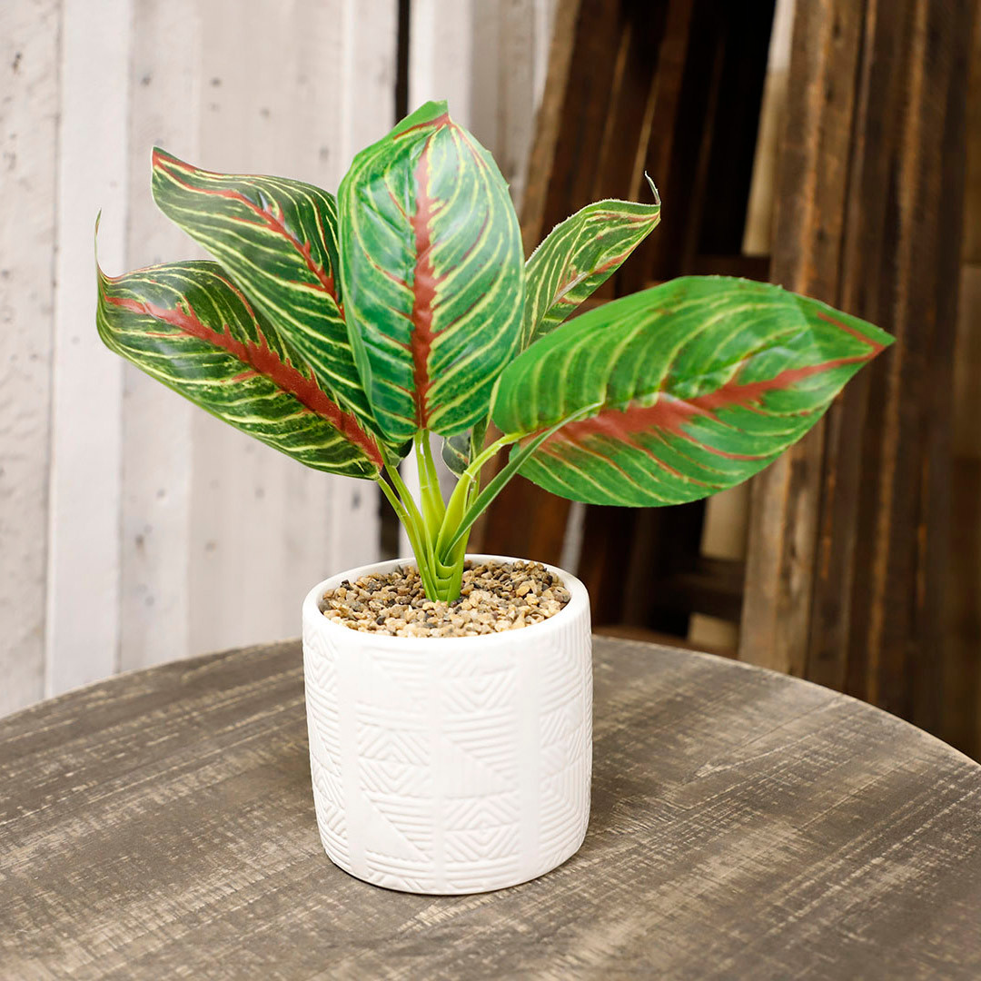 GREEN PLANT IN WHITE POT ASST - JanMichaels Art and Home