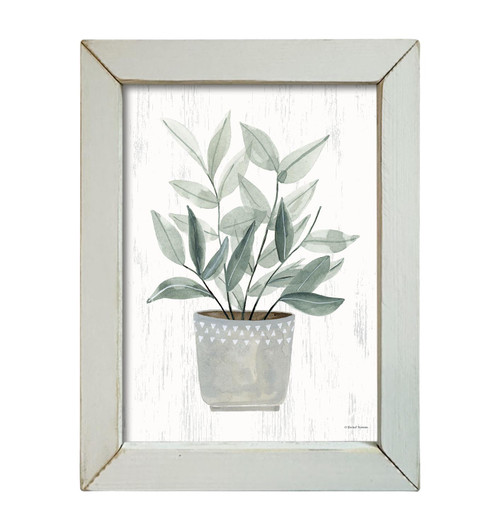 RN518 Gray Greens