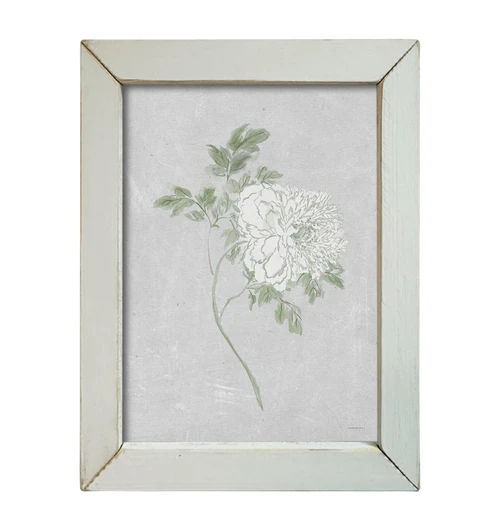 KAM723 Peony Stem