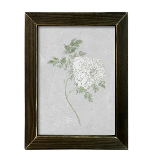 KAM723 Peony Stem