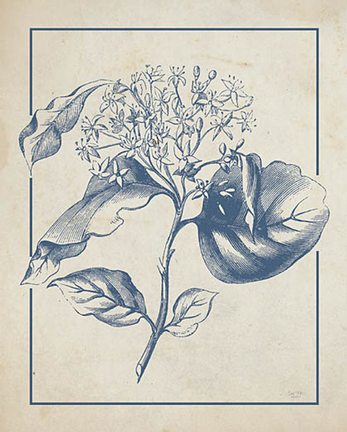 LUX851 Classic Floral Illustration Picture
