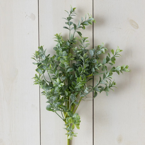 Pick - Dusty Green Boxwood