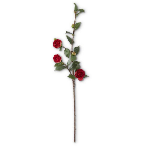 30 inch Red Camellia Stem