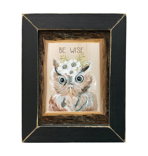 CIN2481A Be Wise Owl