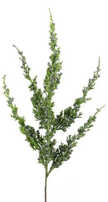 22"L MONTERREY CYPRESS SPRAY (BAG OF 4)