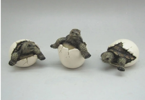 RESIN TURTLE ASST