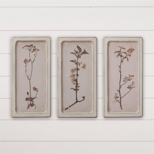 FRAMED PRINTS DRIED FLOWERS (EACH)