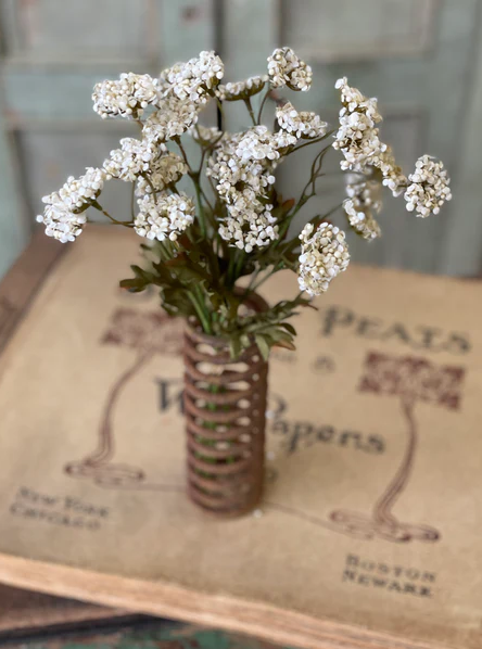 13" Fennel Flower Bundle | Cream