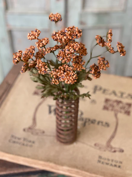 13" Fennel Flower Bundle | Pumpkin