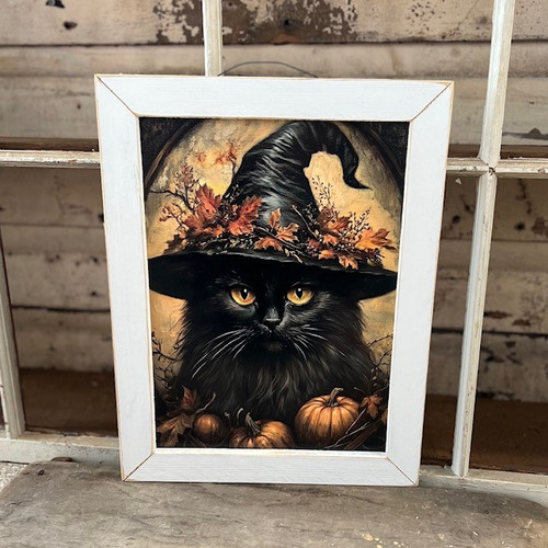 HMK482L Black Witch Cat