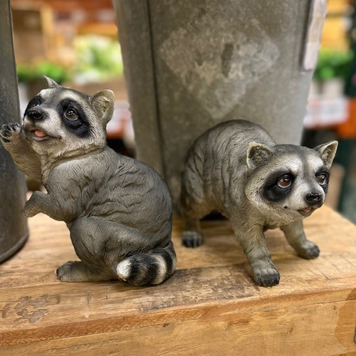 RESIN RACOON (EACH)