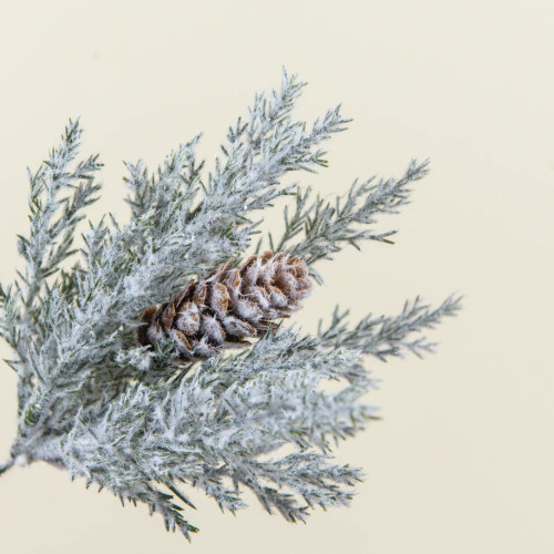 9" FROSTED PRICKLY PINE PICK W/ PINECONE